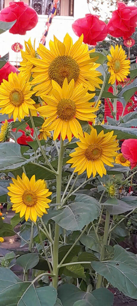 z7555673574399_b0e6631bde0fdcf6266536a2fa54ca12