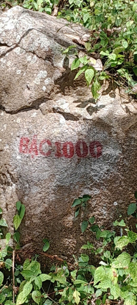 z7555680849750_1f50ef24cb107ab5ea8448f9f0eb7451