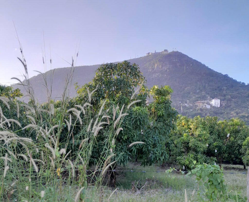 z7555841966274_e0aa720cddee39704fa0a72d4854b68b