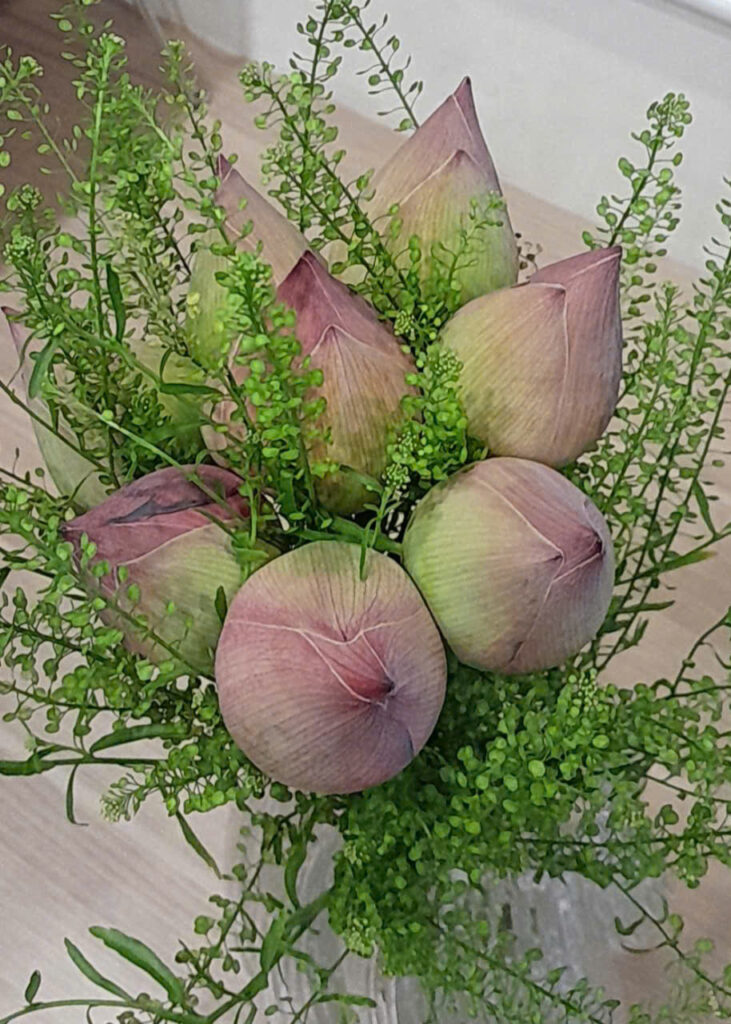 z7659342046675_30431ac9a581947dcd60ca8616f776dc